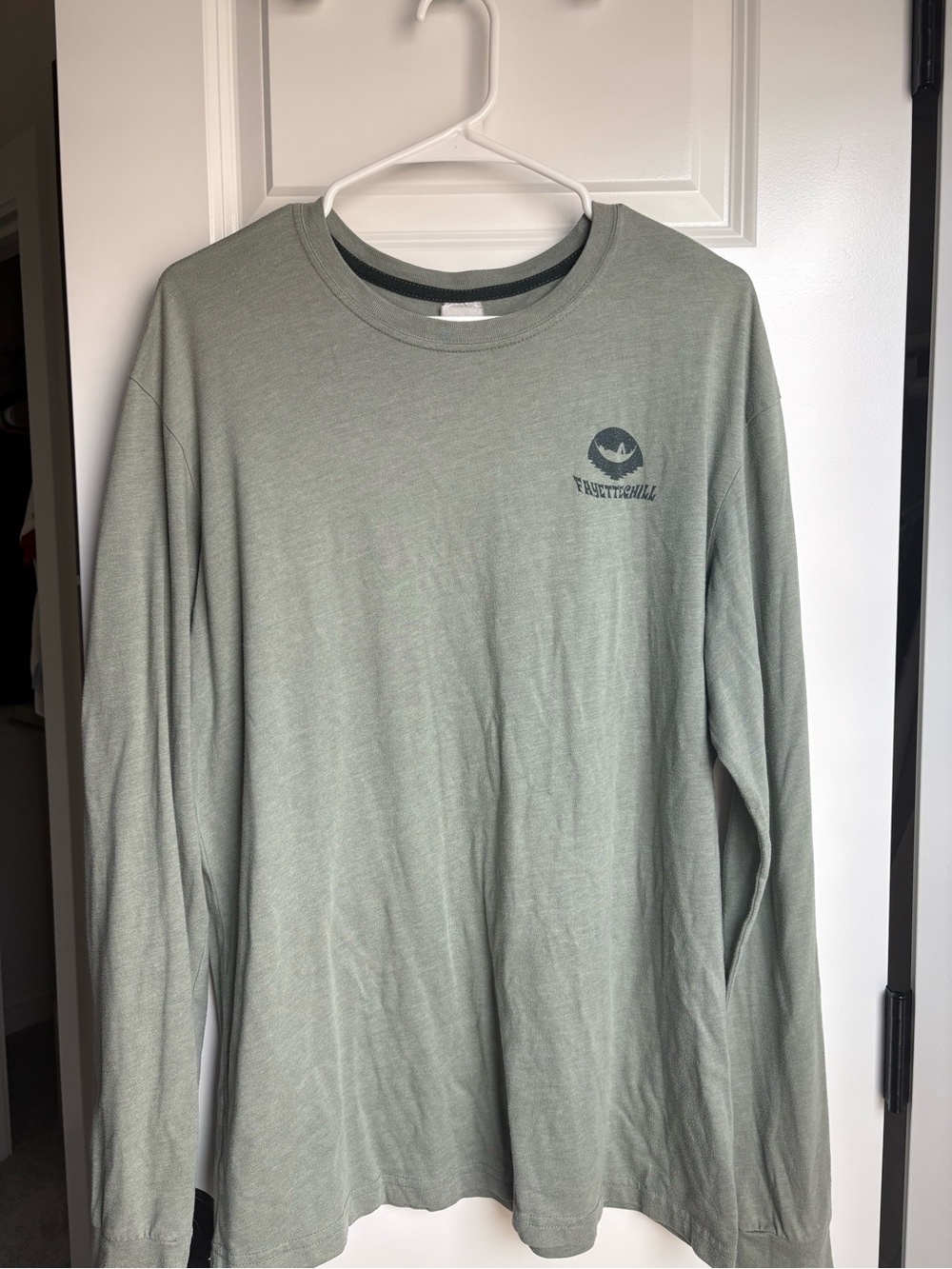 Fayettechill Men’s Long Sleeve Graphic Tee - Sage Green